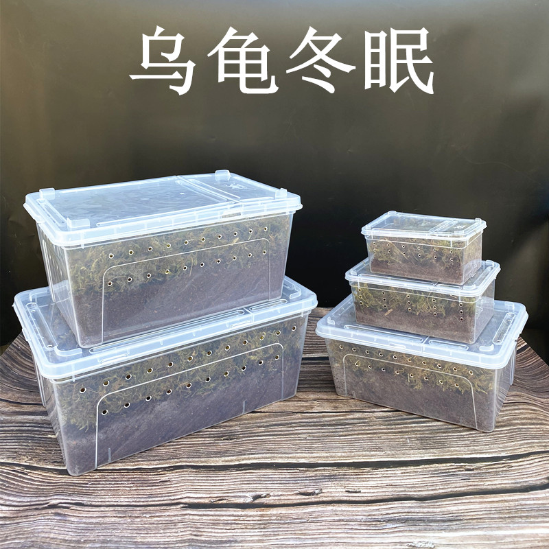 Turtle Winter Sleeping Box Insulation Feeding Box Tortoise Vat Over Winter Mat Material Supplies Coconut Toss Sandy Turtleu Tortoise Hibernate