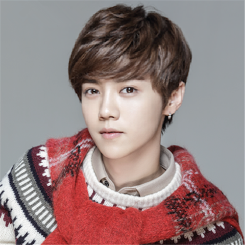 Perruque Harsh pelucheux confirme - Ref 2608022 Image 10