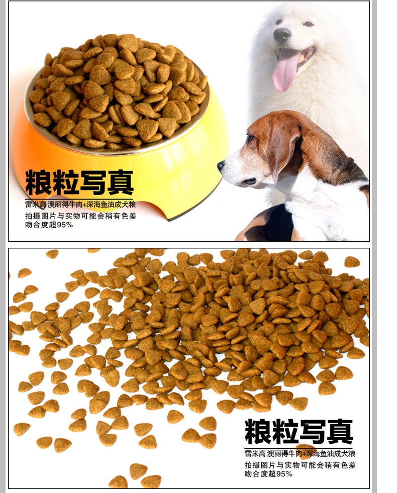 Thức ăn cho chó Remy Gao Aoli chó trưởng thành Golden Retriever Husky Samoyed vừa và lớn loại chó chung 20kg40 kg thức ăn - Chó Staples hạt cho chó