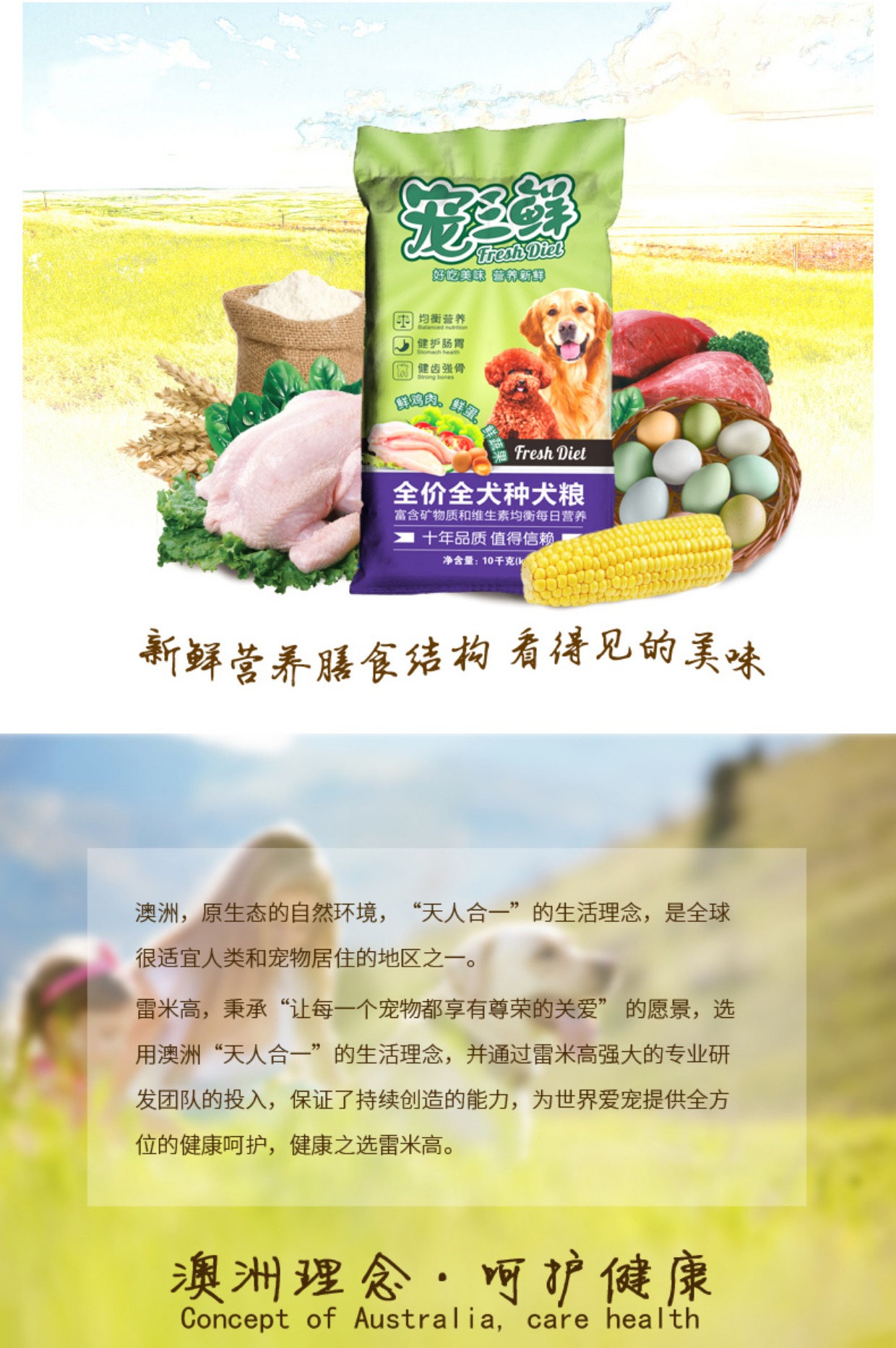 Rémy thú cưng ba con chó con trưởng thành tươi chó con chó con thức ăn cho chó Jin Mao Teddy chó lớn và vừa nhỏ loại chung 10kg20 kg - Chó Staples thuc an cho chó