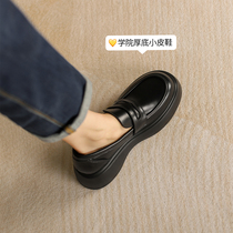 FXSO Square Alley 2022 New Thick Bottom Soft Leather Retro Mary Treasures Shoes Day Ensemble Small Leather Shoes Coarse Heel Single Shoe Woman