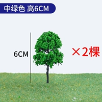 2 6,0 см зеленых готовых продуктов