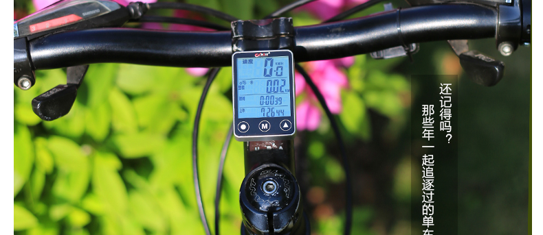 Tableau de bord vélo BOGEER - Ref 2420437 Image 43
