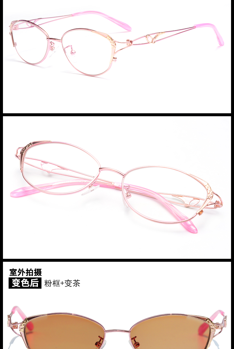 Montures de lunettes en Tole - Ref 3141445 Image 24