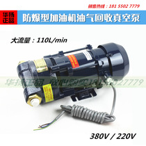 Oil & Gas Recovery Vacuum Pump 220V380V Distributed Fuel Oil & Gas Recovery Pump Oil and Gas Recovery Fuel Gun Tube