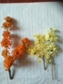 鑫港背桂花苗圃基地的LOGO