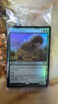 Magic: The Gathering Light and Thunder OTJ Giant Rattledragon Simplified Chinese Commemorative Flash Flat Flash Gold