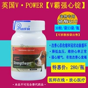 Anh V Paqiang tim thỏi 90 viên pet coenzyme Q10 chó mèo huyết áp cao suy tim cao sản phẩm sức khỏe phì đại tim - Cat / Dog Medical Supplies