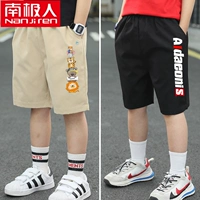 Лев эшелон хаки+aud черный