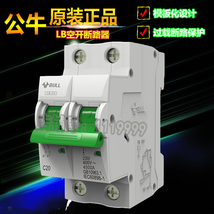 Bull Air Switch Empto 2P100A Bipolar Home Empty Open Short Circuit Electric Gate Overload Protector Breaker