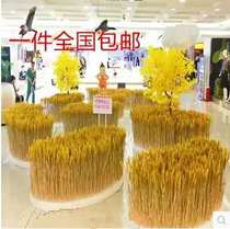 Natural wheat ear dried flower bouquet opening barley garden decoration gift shooting props dried flower real flower wheat