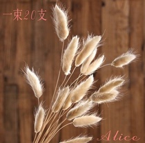 Rabbit tail grass dry flower fake flower simulation flower eternal flower dried flower dry flower flower arrangement real flower bouquet living room decoration