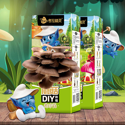 【发两盒】考拉精灵diy蘑菇种子