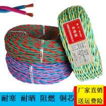 National standard flame retardant fire broadcast alarm line fireproof glue flower wire lamp holder power cord ZR-RVS2X1 5