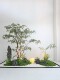 Simulated Plant Landscaping Entrance Balcony Landscape Layout Indoor Building New Chinoiserie Decoration Bionic Green Plant Landscaping Combination