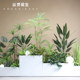 Simulated Plants, Large Fake Green Plant Ornaments, Fiberglass Flower Pots, Landscape Hotel, Shopping Mall, Restaurant Partition Decoration