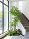 Simulated Plant Landscaping, Decorative Green Plants, Soft Decoration Landscape ‌ Wabi-Sabi Style Interior Arrangement under the Stairs in the Corner of the Entrance Hall