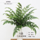 Simulated plants, high simulation feel ferns, tropical maidenhair fern artificial plants, fake plants, simulated green plants