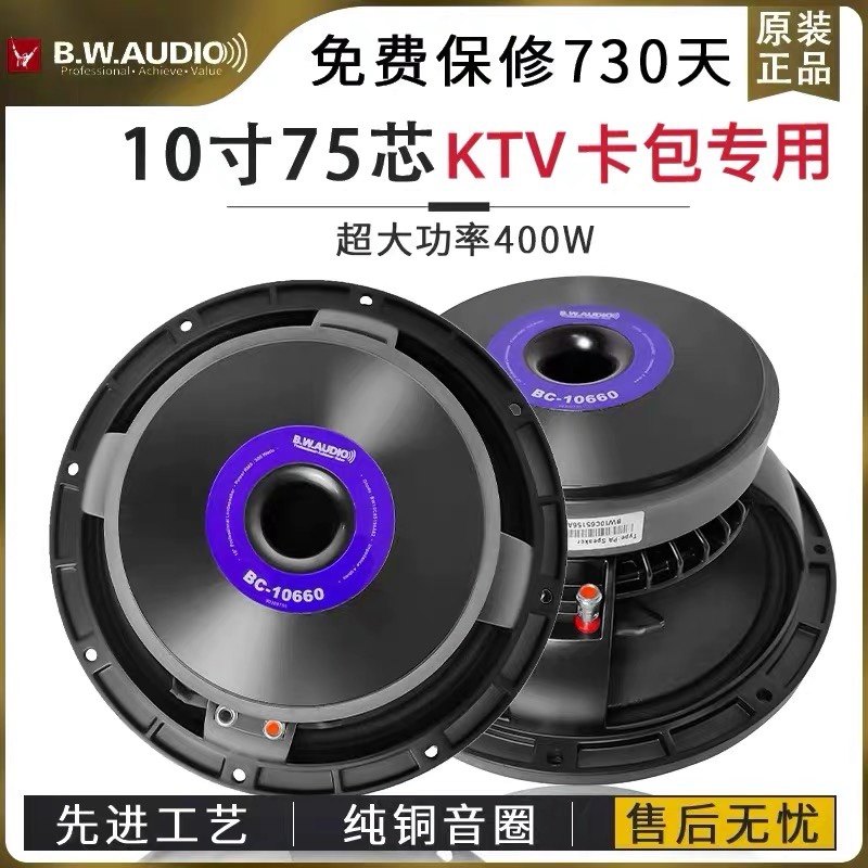 Budweiser 10 inch subwoofer KTV private room professional high-power K singing song household speaker high-end