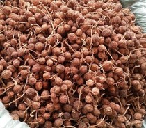 Authentic Chinese Herbal Medicine Yangchun Chun Amomum Chun Amomum Chun Amomum villosum 250g