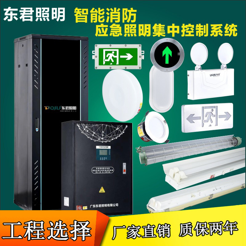 Dongjun Intelligent Fire Emergency Lighting System Type a Centralized Power Supply Centralized Control Safety Exit Indicator Light Dongjun Intelligent Fire Emergency Lighting System Type a Centralized Power Supply Centralized Control Safety Exit Indicator Light