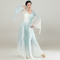 Danse classique Femme Flutter avec Petal Pants Skirt Gradient Mesh Yarn Fairy Qi-qi Vent ancien Yifu China Dance Practice Merit