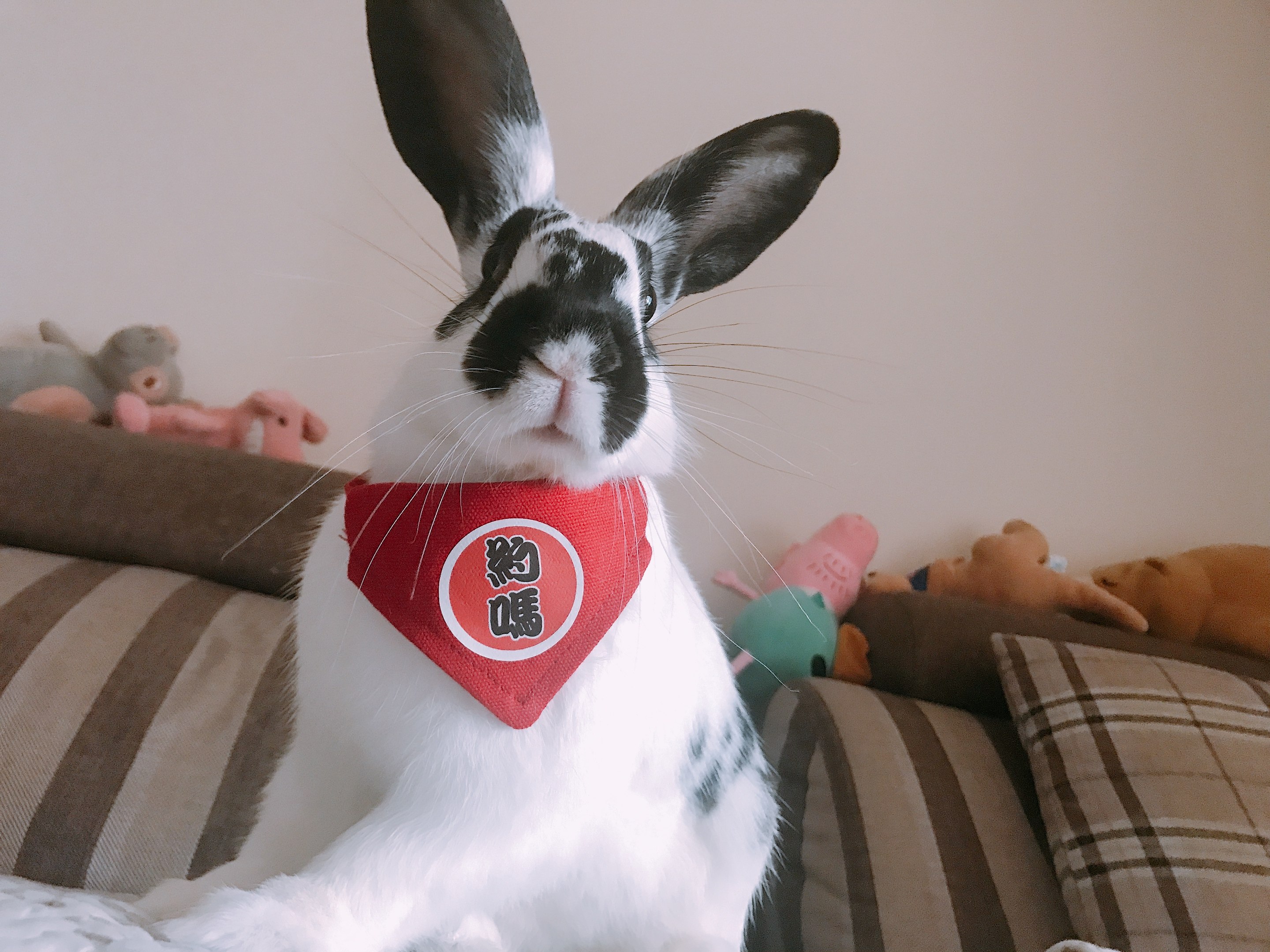 Special patch link postage difference and pay the price of the special price how many metres to make up