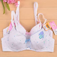 Đồ lót nữ Yilanfen Wooddale thoải mái với vòng thép định hình B Cup Cotton mỏng Áo ngực sinh viên 1104 áo bra 2 dây