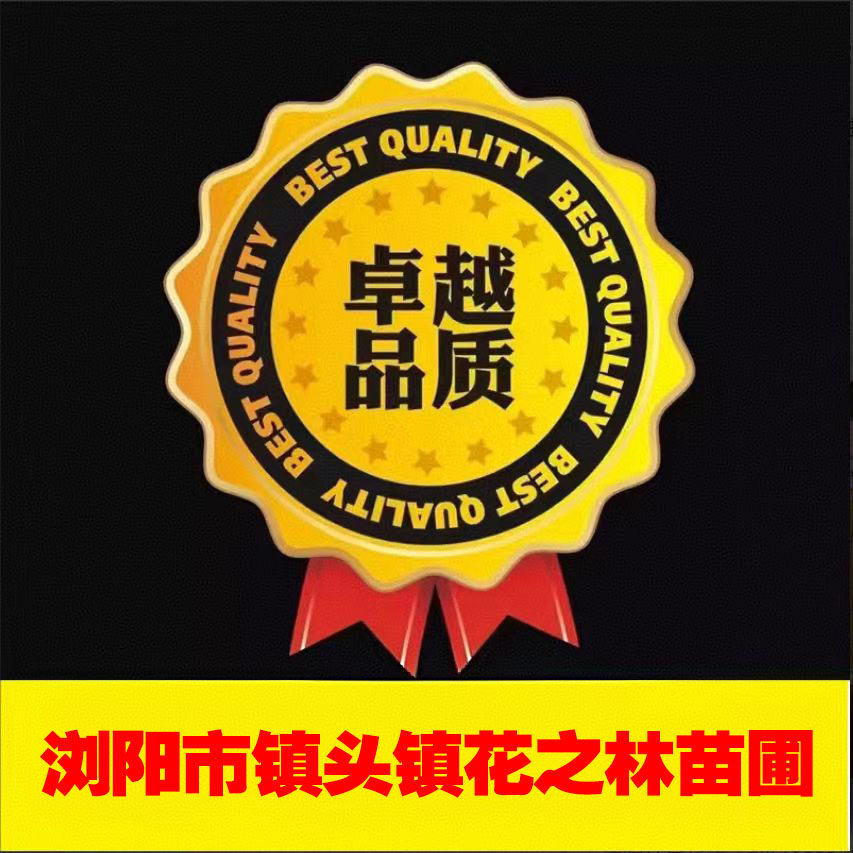 浏阳市镇头镇花之林