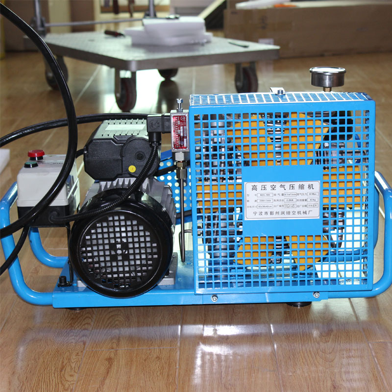 RZX100 Submersible Gas Cylinder Inflatable Equipment Air Compressor Fast Inflatable Molecular Filtration