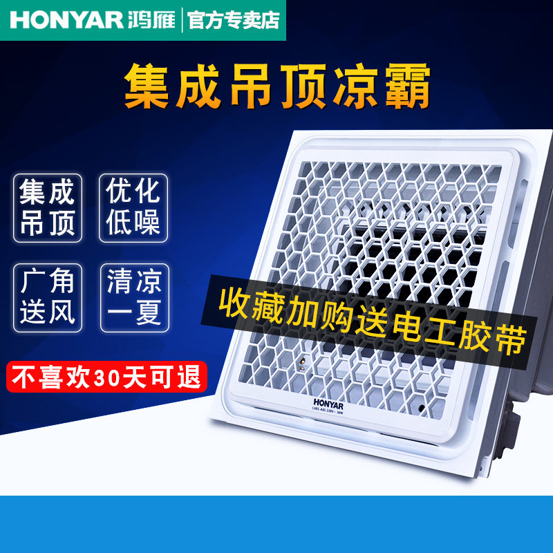 Hon Goose Cool Overhang Integrated Ceiling Cold Fan Kitchen Cold Blower Makeup Room Suction Top Blow Embedded Cold Bullies