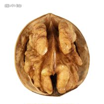 Tian Xiaoxian Walnuts] Xinjiang Aksu thin-skinned walnuts non-paper shell Jiaocheng walnuts 1 catty 500g bag