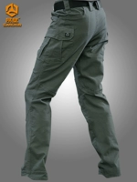 Серый зеленый