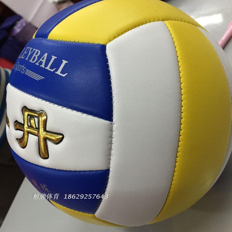 Ballon de volley - Ref 2011150 Image 4
