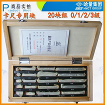 Authentic Kazakh quantity Block 12 Block 20 Block 8 Blocks 5 Block 0 1 2 Level 3 Gong Metric Gauge Gauge Gauge Gauge Gauge