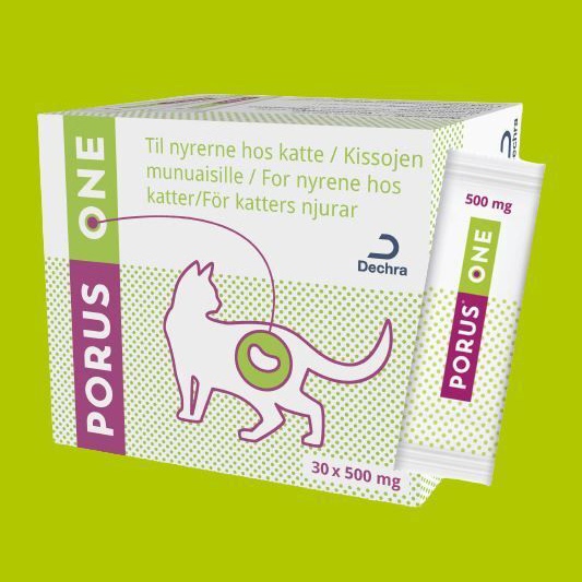 Dechra Porus One Kidney Clear, Veterinary Use, Cat Kidney Metabolism Adsorption Supplement