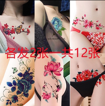 Rose floral butterfly lotus flower pep flowers cherry blossom plum tattoo tattooed stickers waterproof woman lasting little fresher sashimi
