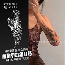 Wings Collarbone Angel Men and women Ins Waterproof herbage Half juice tattooed Lasting Flower Arms