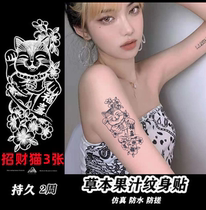 Cute Germination Cat Grass Ben Juice Tattoo Stick Waterproof Persistent not reflective woman realistic stab cyan half