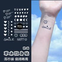 She painted the elegant small picture grass This juice paste tattooed inwind couple stickers waterproof and persistent women dont glisten tattooed