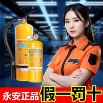 Portable 4kg Class D metal fire extinguisher yellow bottle magnesium sodium aluminum molybdenum triethyl aluminum charging pile lithium battery