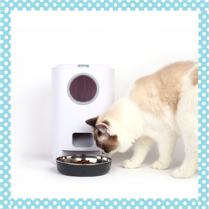 Cat Fooder regularly quantifies automatic intelligent feeder travel large capacity 4 5L cat automatic feeder