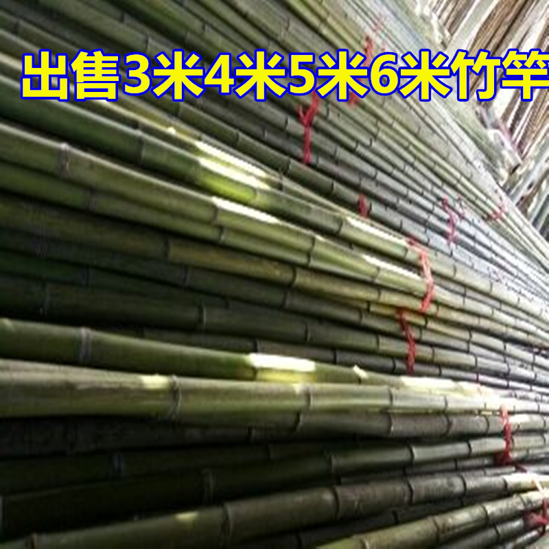 Long bamboo 1 m 1 m 2 m 2 m 4 m 4 m 5 m 5 m 6 m Bamboo rod coarse bamboo pole wool bamboo pole decoration wedding wedding bamboo pole hitch-Taobao
