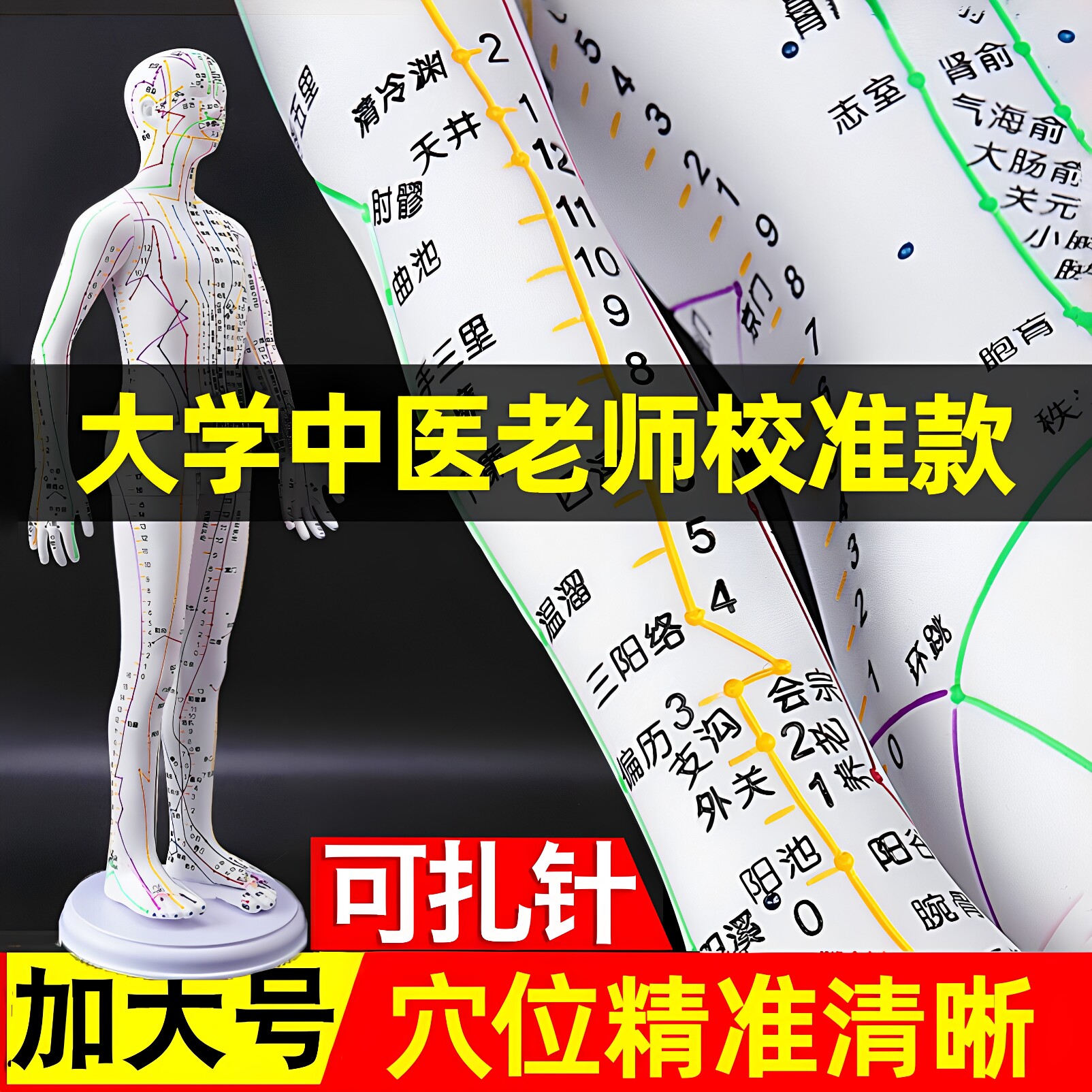 针灸穴位人体模型可扎针经络全身图小铜人模特大标准十二人形练习