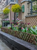 Willow Fence Fence Garden Garden Garden Garden Garden Забор для забоя маленький питомник балкон -двор стена на открытом воздухе сад сад цветет
