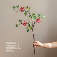 Бегония плодовая (красная)