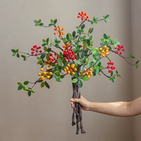 Бегония плодовая (красная) 2 ветки + Бегония плодовая (оранжевая) 3 ветки