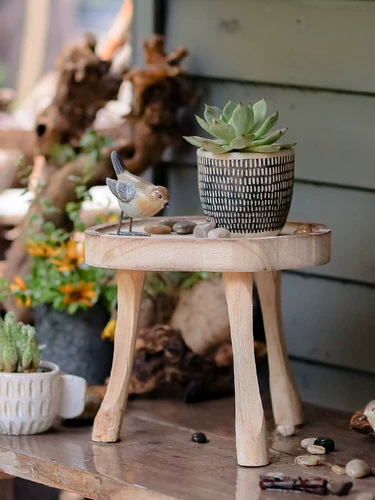 Кроншень с твердым деревом цветочниц дно с низким табурет