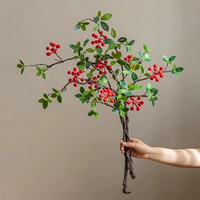 Бегония плодовая (красная) 3 ветки