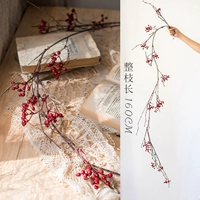 Виноградная лоза Wildberry (красные фрукты)